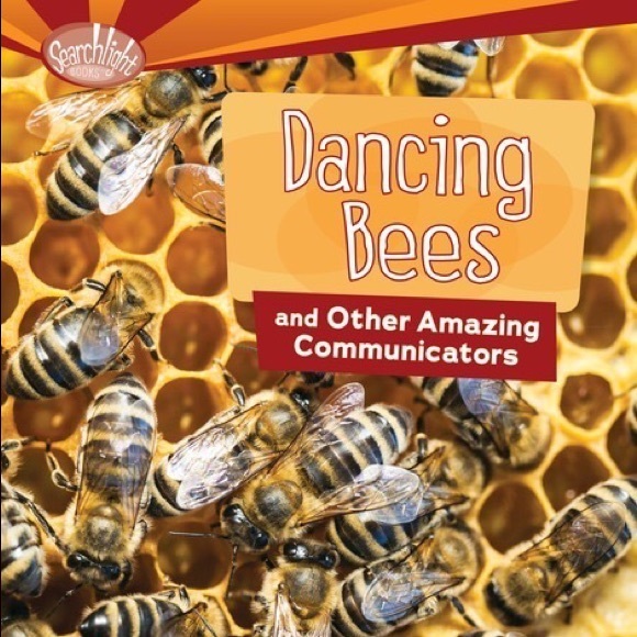 Dancing Bees learning book - Picture 1 of 5